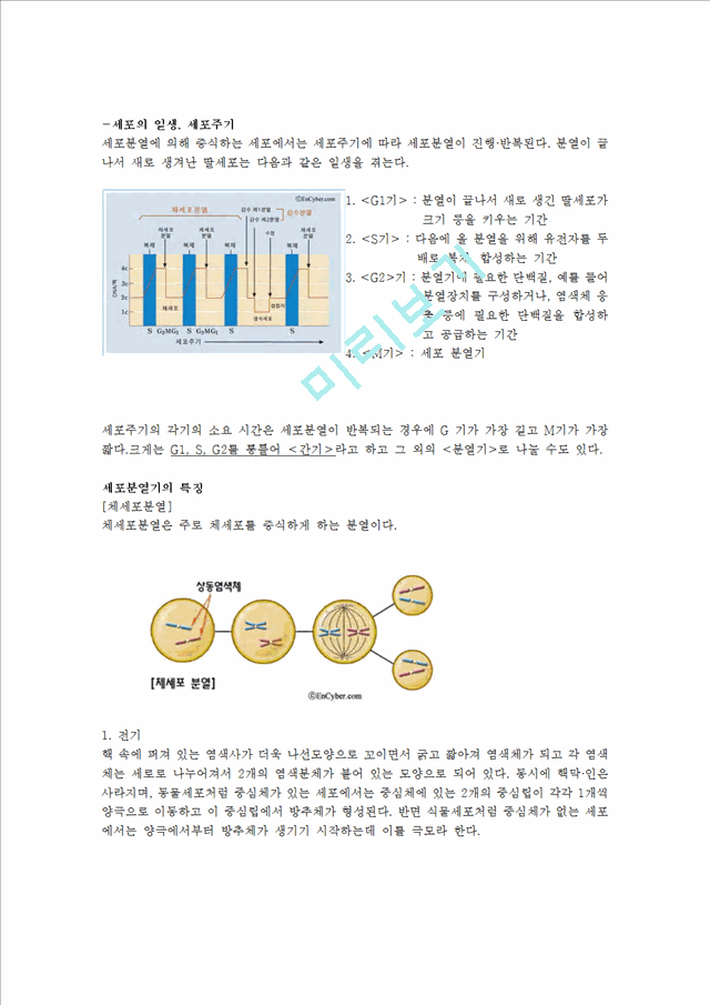 [의학,약학] 세포 분열과 감수 분열의 차이점.hwp